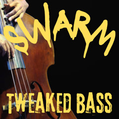 Tweaked Bass (Breaks 2008)