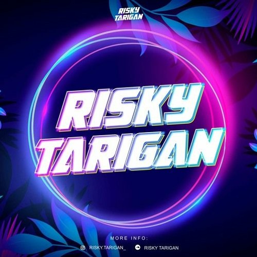 Risky Tarigan Mixtape