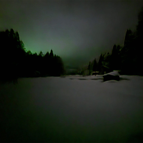 THE NIGHT