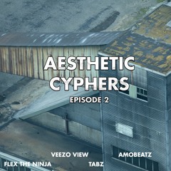 Aesthetic Cyphers : Episode 2 (AMOBEATZ, TABZ , FLEX THE NINJA, VEEZO VIEW )