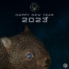 Wombat - Happy New Year (2023)