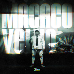 Macaco Velho