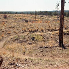 Keeping to THE Path