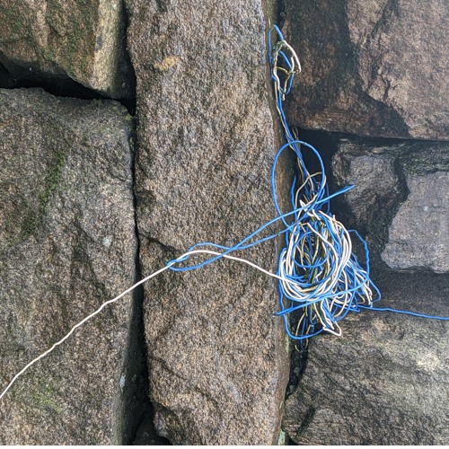 Trapped ecologies