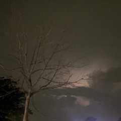 Steel Reserve and morning melodies