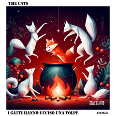 Francesco Tamburrano - una stella in arrivo (Original Mix)