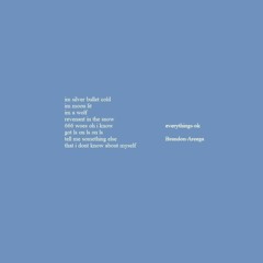 everythings ok (prod. pilgrim x Fast Car G)