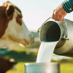 Crise no setor leiteiro mobiliza entidades e será debatida em audiência pública na Alesc