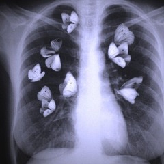 Dirty Lungs