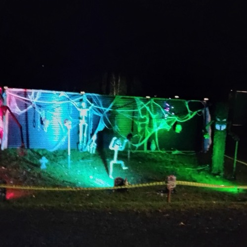 i never wanted you to cry....