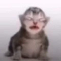 kaykayk nigga