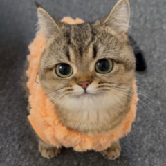 Porter Robinson - Something Comforting (rquny flip)