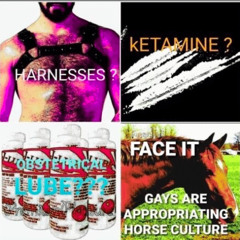 Gays are appropriating horse culture