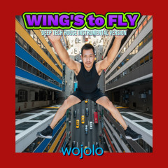 WINGS TO FLY wojolo deep house instrumental version