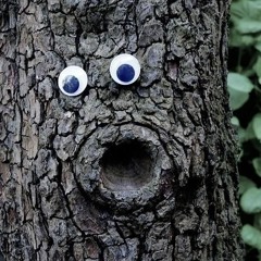 ‏‏‎