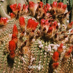 Premiere: - GODTET - Cactus Dance