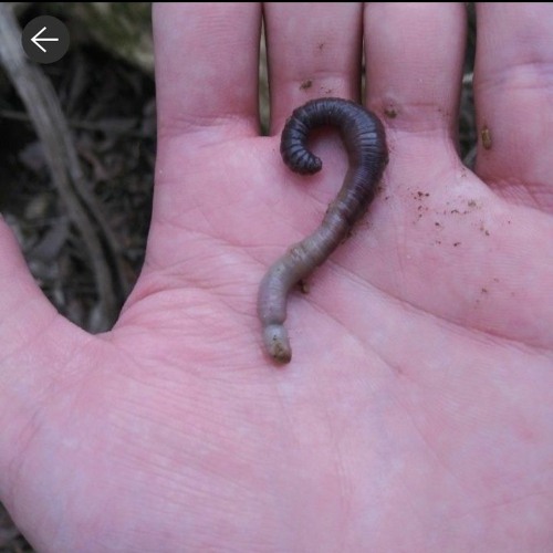 !¡stop the violence or die¡!