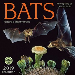 View [PDF EBOOK EPUB KINDLE] Bats 2019 Wall Calendar: Nature's Superheroes by  Merlin D. Tuttle &  A