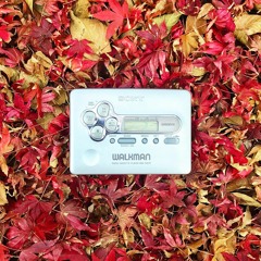 THW 11.17.23 - Late Fall Friday