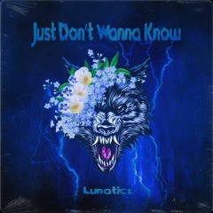 Just Dont Wanna Know (Frenchcore)