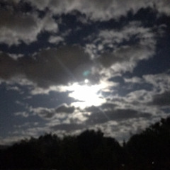 love of my life - alybob