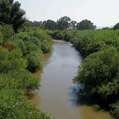 Drowning In The River