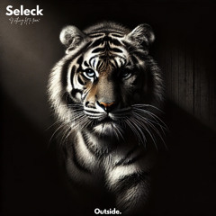 Seleck "Nothing left to fear" (Radio Edit)