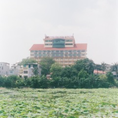 THE LOTUS