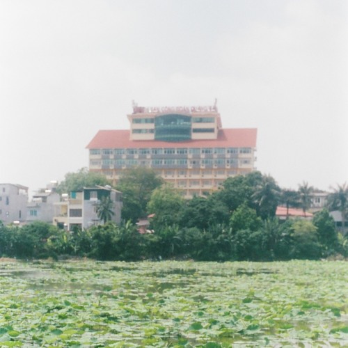 THE LOTUS