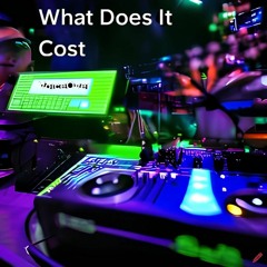 What Does It Cost