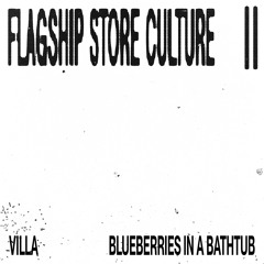 Blueberries In A Bathtub