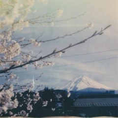 luv n safety (prod quitter)