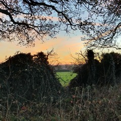 HYMN FOR ALL THE BEAUTIFUL FRAGILE BATTLE-WEARY UNDERDOGS WHO MAGICALLY WIN IN THE END