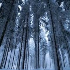 Stopping By Woods on a Snowy Evening