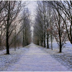 Winter's here!