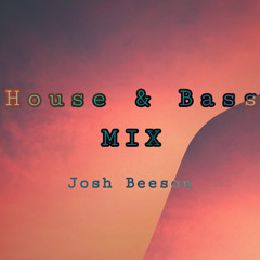 House&Bass Mini Mix 2016 - Mixed By Josh Beeson