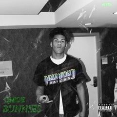 Bunnies’ Prod By. MFD6