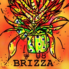 BRIZZA 8