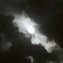 Nuit noire de l’âme