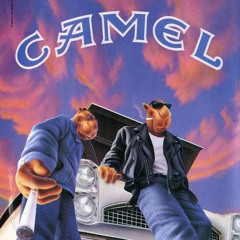 СAMEL