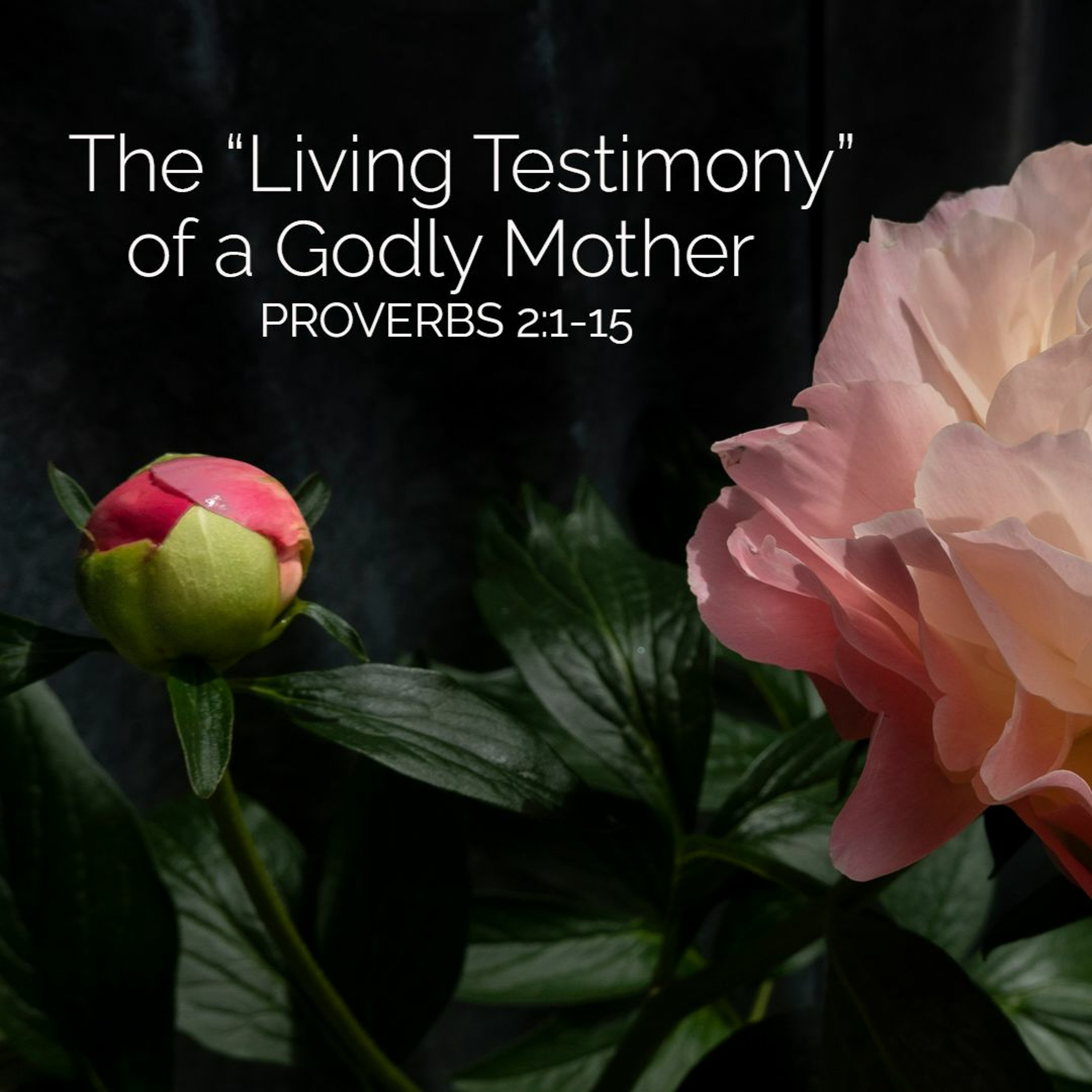 The "Living Testimony" of a Godly Mother (Auditorium)