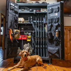E494 - All You Need to Know When Buying a Gun Safe - with Tom Kubiniec of Secureit Gun Safes