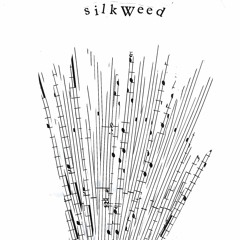 Silkweed