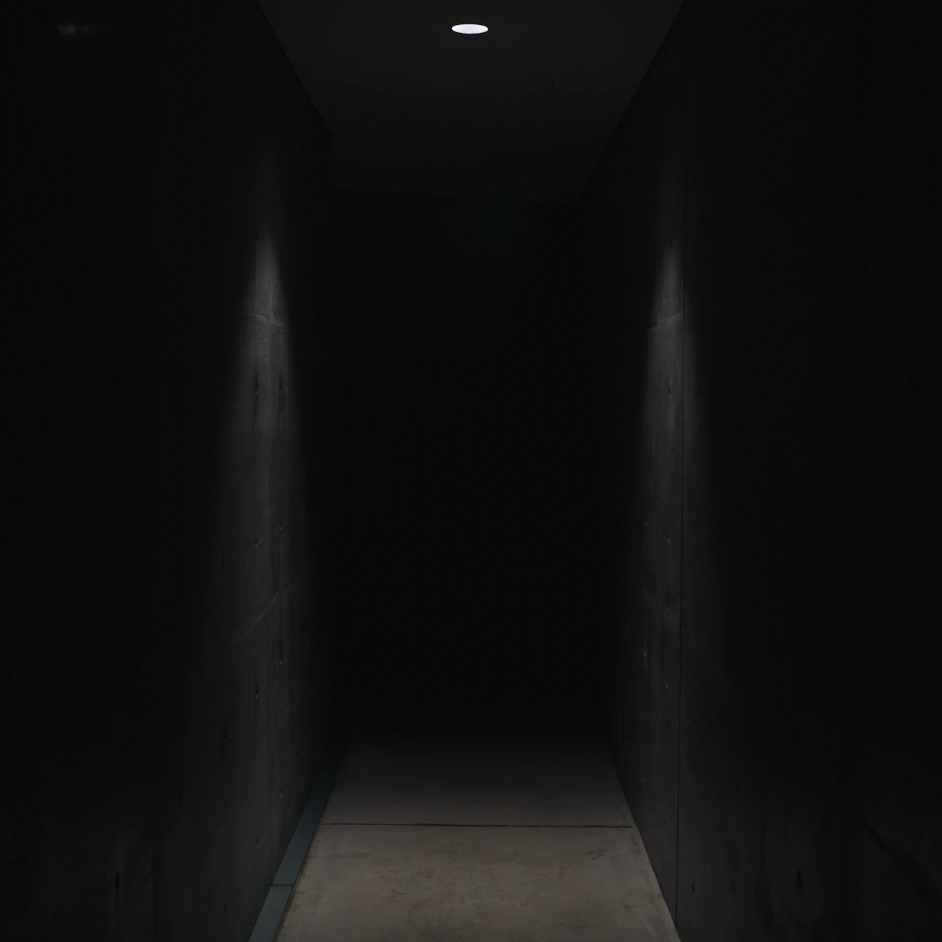 Are you afraid of ghosts?