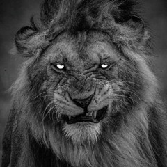 DAFID SMOKE - BOOYAH ( LEMANTS X OYA20 )