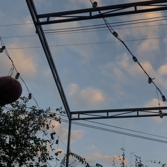 VƯƠNG - cover