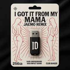 will.i.am - I Got It From My Mama (JAEMO Remix)