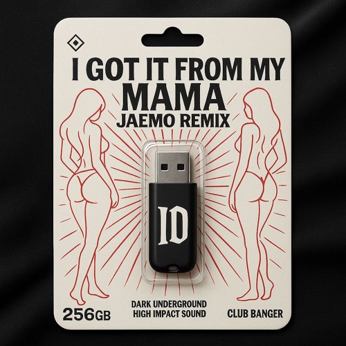 will.i.am - I Got It From My Mama (JAEMO Remix)
