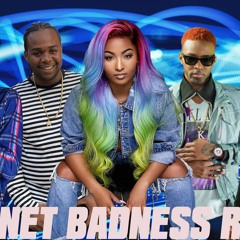 Internet Badness Riddim Mix Teejay,Shenseea,Konshens,Ding Dong,Kash & More (Romeich Entertainment)