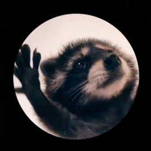 Stream Jaxomy, Agatino Romero, Raffaella Carrà - Pedro